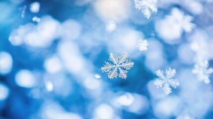 precipitation. Softly falling snowflakes in a winter scene with a cool blue atmospheric glow. travel magazines, destination branding, designed for outdoor magazines and nature guides.