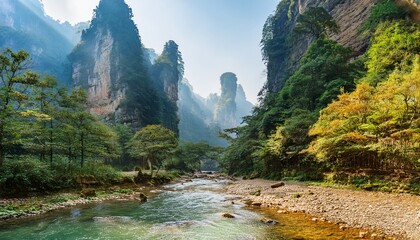 hiking along the golden whip stream in zhangjiajie national forest park hunan province china