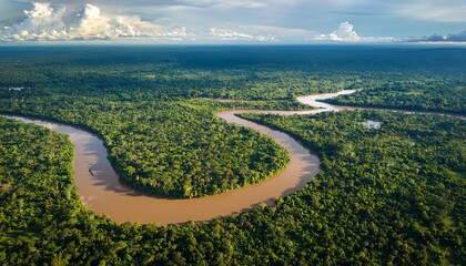 aerial view of the amazonas jungle landscape with river bend