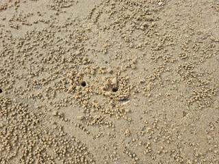 It's a sandy beach with crabs coming out of holes and sand balls.