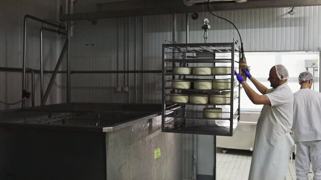 Cheesemaker operating a crane to slowly submerge a large metal rack filled with fresh cheese wheels into a brining tank inside an industrial food processing factory for salting