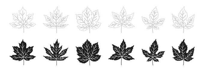 Set of maple leaf icons. Black color leaves, isolated on a white background. Leaves in textured silhouettes and contour. Fall, spring, or summer collection foliage. Vector illustration