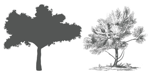 Set of Minimal CAD Tree Elements – Modern Line Art Symbols for Landscape and Architectural Design | Vector Foliage Outline Illustration