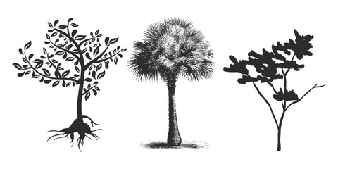 Set of Minimal CAD Tree Elements – Modern Line Art Symbols for Landscape and Architectural Design | Vector Foliage Outline Illustration