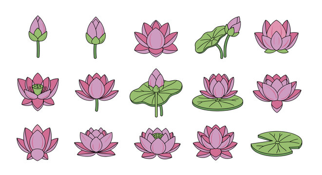 Collection of stylized pink lotus flowers and buds in various stages of bloom, some with green leaves and seed pods, presented on a black background, symbolizing purity, enlightenment, and rebirth in