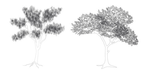 Set of Minimal CAD Tree Elements – Modern Line Art Symbols for Landscape and Architectural Design | Vector Foliage Outline Illustration