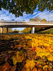 Warm Autumn Colors on the Riverside Walk and Gardens, Burton upon Trent, UK