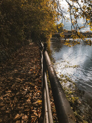 Warm Autumn Colors on the Riverside Walk and Gardens, Burton upon Trent, UK