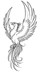 Obraz premium Elegant Phoenix Rising - Detailed Line Art Illustration.