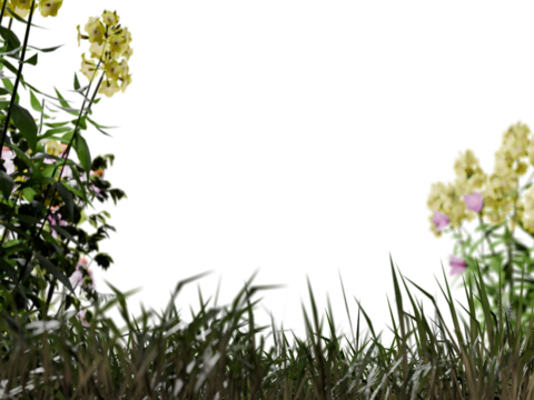 Lush green grass anchors the bottom, while vibrant yellow and soft pink flowers with foliage frame a transparent background, creating a natural border or accent