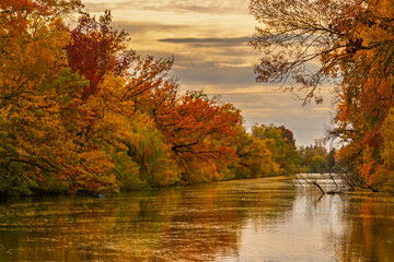 Backwater of the Koros river at Szarvas