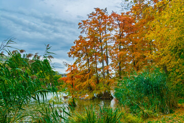 Backwater of the Koros river at Szarvas