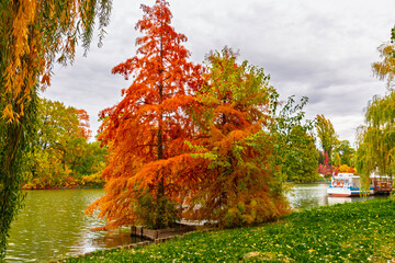 Backwater of the Koros river at Szarvas