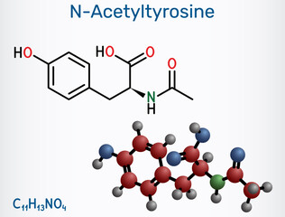 N-acetyl-tyrosine (NALT) molecule. Cognitive enhancer, acetylated derivative of tyrosine amino acid. Structural chemical formula, molecule model. Vector illustration