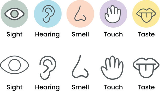 Human five senses icon set. Vector illustration of sight eye, smell nose, hearing ear, touch hand, taste mouth with tongue