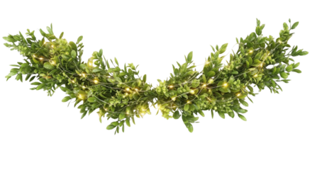 Boxwood garland with decorative string lights isolated PNG with Transparent Background