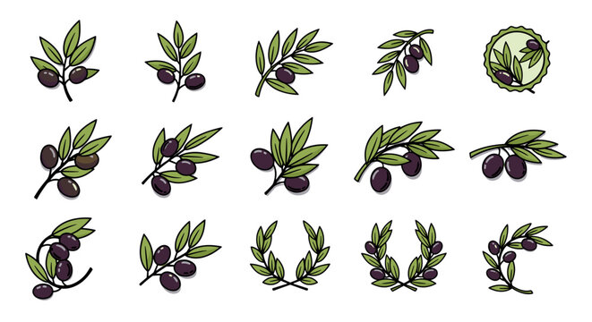 Collection of stylized olive branches and wreaths with ripe purple olives and green leaves, isolated on a black background, representing harvest, Mediterranean cuisine, and natural beauty in a