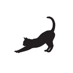 Silhouette of a cat stretching gracefully, white background