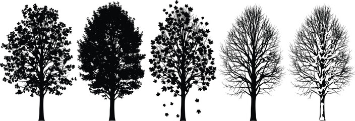 Silhouette tree seasonal transition vector showing summer, autumn, winter changes with human figure under bare tree for nature conceptSilhouette tree seasonal transition vector showing summer, 
