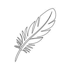 Obraz premium Simple black and white line drawing of a single feather