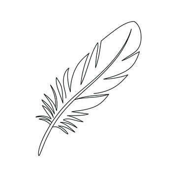 Simple black and white line drawing of a single feather
