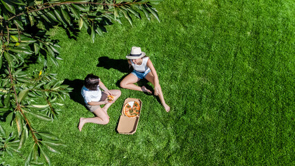 Female friends eating pizza on summer picnic in park, relaxing on grass and having fun, aerial drone view from above