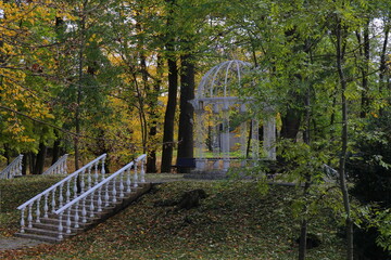Beautiful autumn park filled with golden-yellow trees, cozy benches, and winding walking paths. Fallen leaves cover the ground, creating a peaceful and romantic atmosphere perfect for relaxation