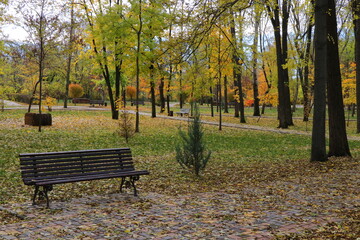 Beautiful autumn park filled with golden-yellow trees, cozy benches, and winding walking paths. Fallen leaves cover the ground, creating a peaceful and romantic atmosphere perfect for relaxation