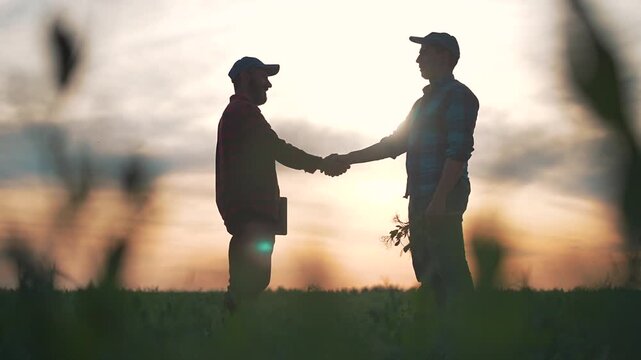 Farmer handshake man confirms field partnership. Trust handshake on sunset field builds teamwork. Field agreement handshake grows farmer partnership trust with crop teamwork agreement teamwork.