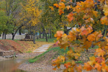Beautiful autumn park filled with golden-yellow trees, cozy benches, and winding walking paths. Fallen leaves cover the ground, creating a peaceful and romantic atmosphere perfect for relaxation