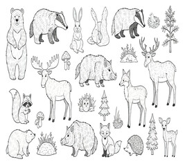 A charming collection of wildlife illustrations, isolated on white background, features a variety of animals, from bears and badgers to foxes and deer, all rendered in a detailed, handdrawn style
