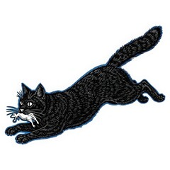 Energetic black cat with white chest and paws leaping forward with a playful and curious expression