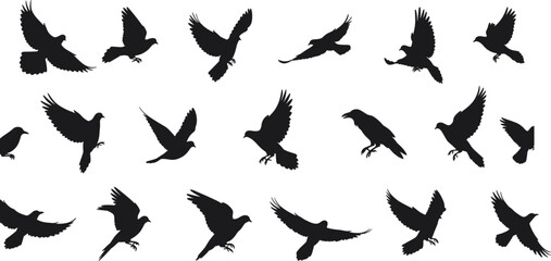 Bird flight silhouettes, black flying shapes, wing motion grid, avian movement study, nature vector design, wildlife chart, side profile illustration