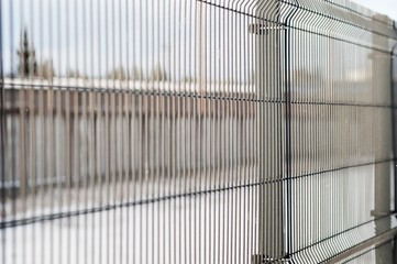 3D mesh close-up on a gray background