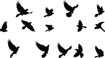 Bird silhouette collection, flying bird shapes, wing position study, black vector illustration, nature flight chart, avian motion design, wildlife icon set