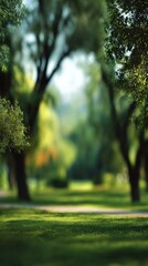 Obraz premium Serene Park Scene With Lush Trees and Soft Sunlight During Daytime