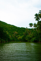Fototapeta premium August 21, 2025. Bohol, Philippines. Tranquil cruise along Loboc River.