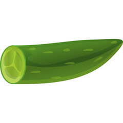 Green Cucumber Cut Halved and Sliced Showing Seeds and Flesh Isolated on Transparent Background for Healthy Eating and Cooking