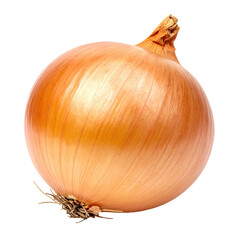 Isolated, whole, globe-shaped onion with light brown, papery skin and a stem end
