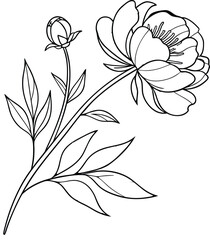 minimal peony outline drawing, elegant botanical