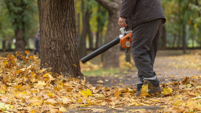 A street cleaner blows autumn leaves off the sidewalk with a leaf blower while standing against a soft blur background of park nature.