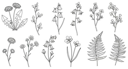 wildflower botanical line art illustrations a delicate floral set for nature-inspired designs and print ideal for elegant wedding stationery