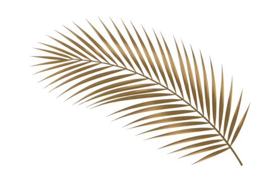 A luxurious golden palm leaf, with intricate fronds, set against a rich, solid transparent background, evoking a tropical and elegant aesthetic. background removed