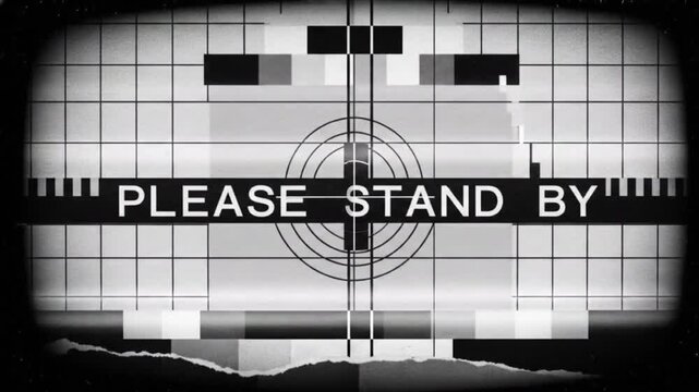 Classic monochrome TV test pattern displaying the 'please stand by' message, simulating a vintage broadcast interruption with static and visual glitches