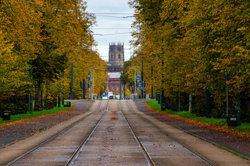 Autumn trees along the Tram track in Nottingham, UK.