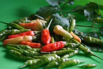 Colorful Chili Peppers on Green Background.
