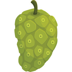 Green Noni Fruit With Textured Skin And Stem On Transparent Background Detailed Tropical Fruit Illustration