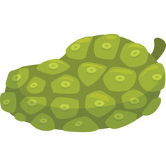 Green Noni Fruit with Textured Surface and Leaf Stem on Transparent Background Isolated