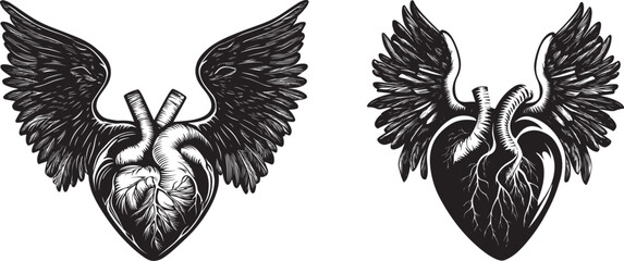 Obraz premium Black Silhouette of Anatomical Heart With Angel Wings Set Vector