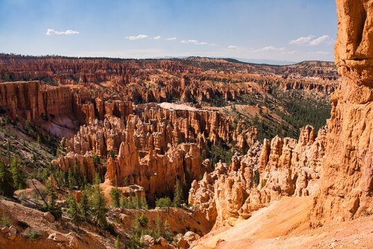 solitary hiking route amid striking geological formations, remote trail through colorful rocks with sparse trees under clear blue sky